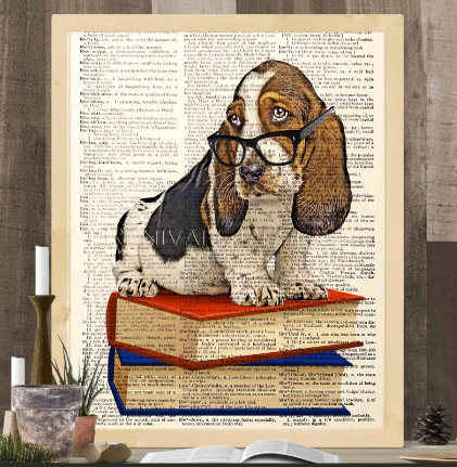 Basset Hounds